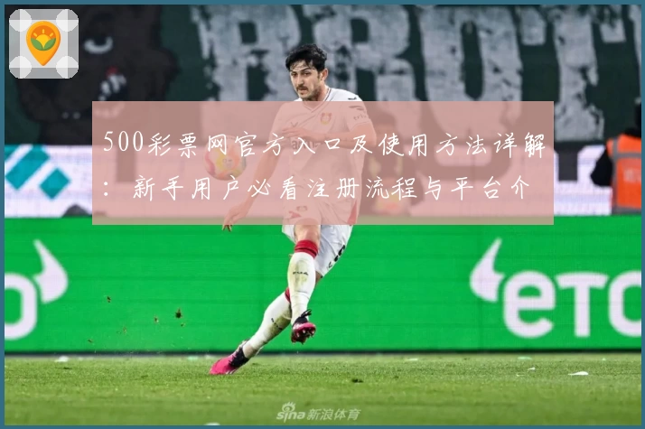 500彩票网官方入口及使用方法详解：新手用户必看注册流程与平台介绍