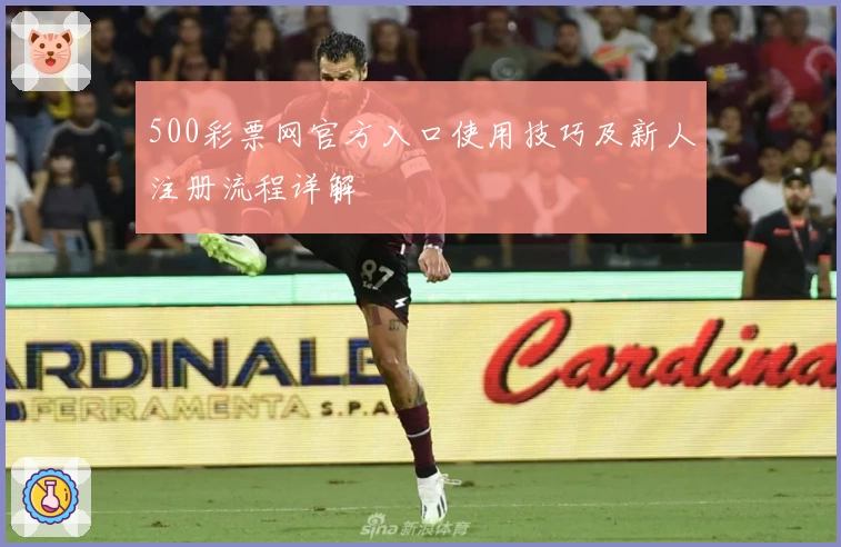 500彩票网官方入口使用技巧及新人注册流程详解